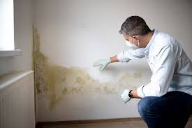 Best Residential Mold Inspection & Testing  in Cheney, WA